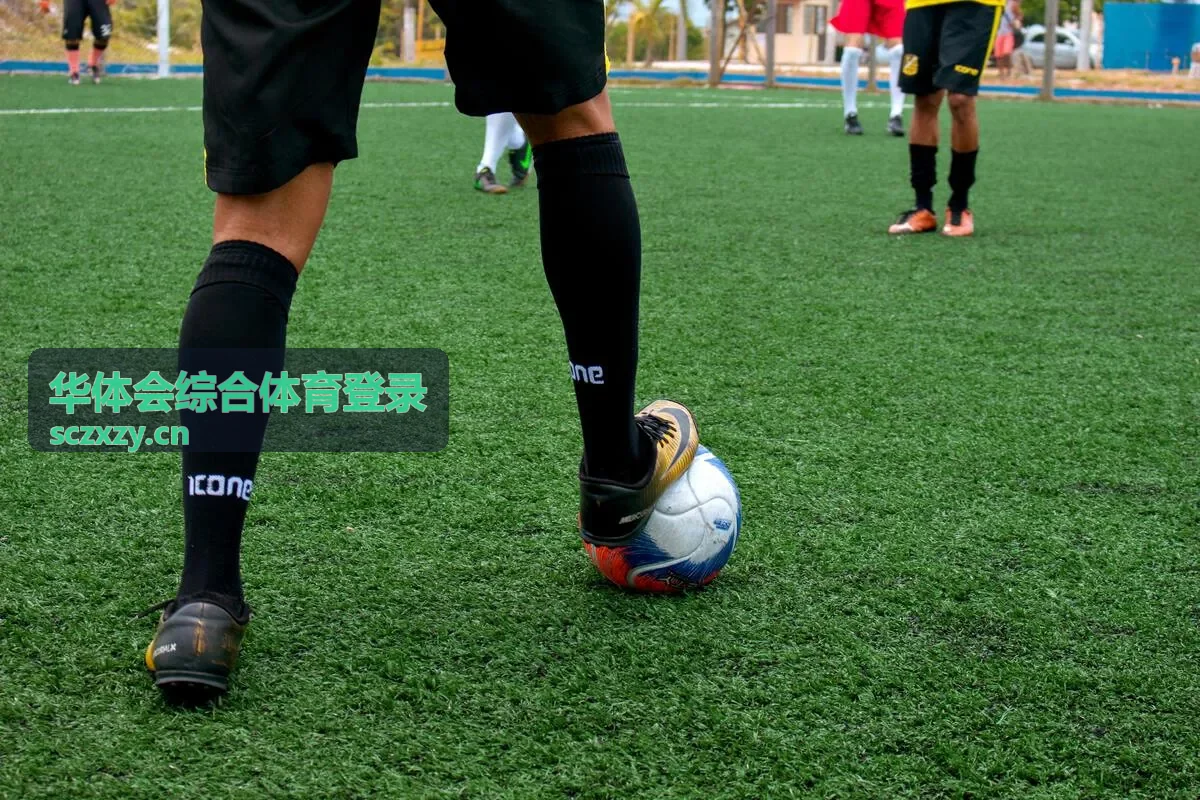 华体会综合体育登录 篮球常规赛积分与排名变化封面图